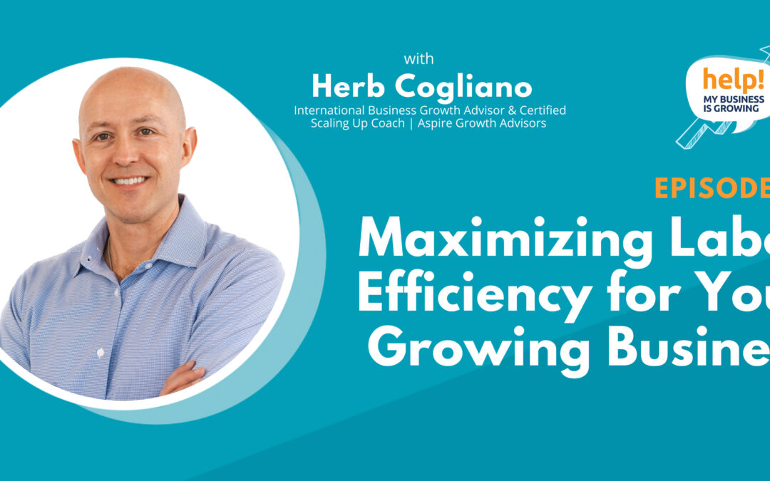 Maximizing Labor Efficiency for Your Growing Business